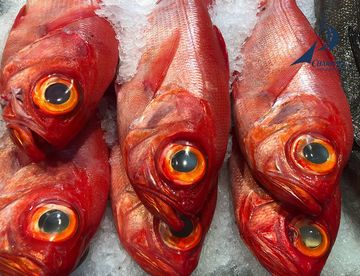 Fischauslage beim Frischemarkt