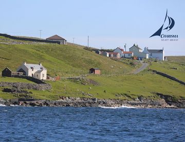 Shetlands - Whalsay