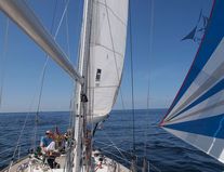 Spi-Segeln
