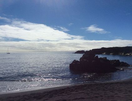 Jan Mayen, Bardvika