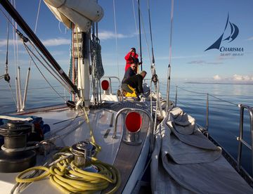 Crew beobachtet Delfine