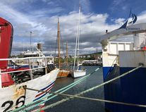Charisma in Husavik