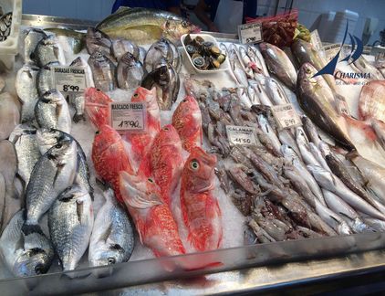 Fisch & Meeresfrüchte