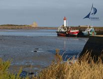Hafen trocken gefallen