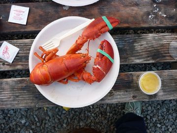 Frischer Lobster Frischer Lobster