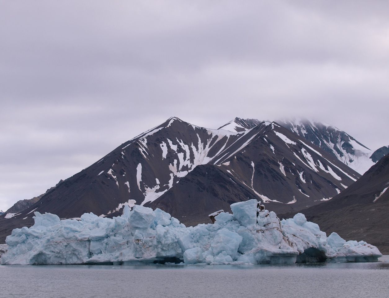 Abgekalbtes Gletschereis Kongsfjords