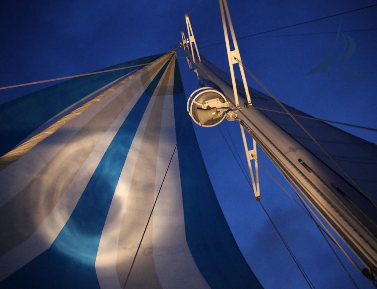 180 qm Spinnaker