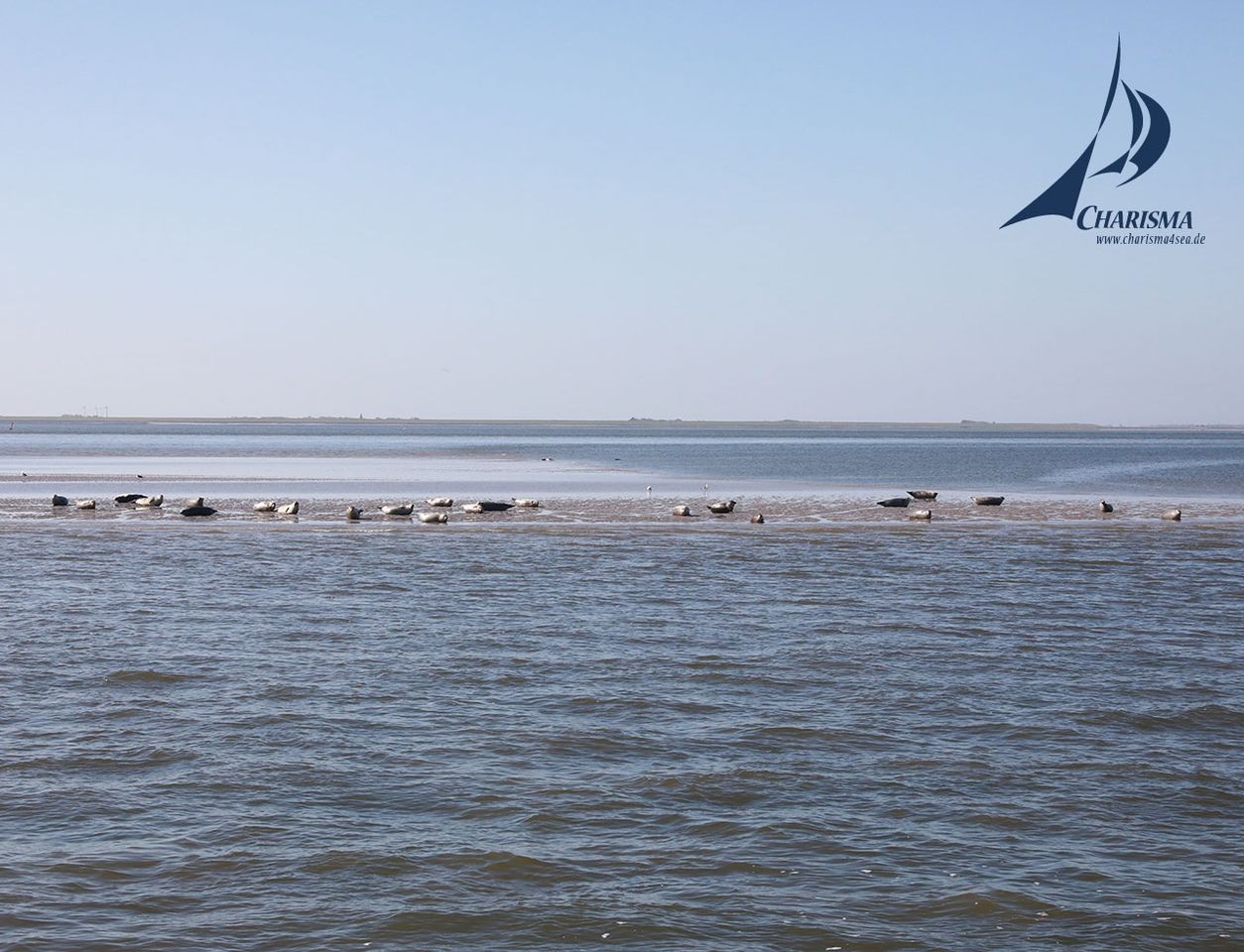 Sonnenbad auf der Sandbank