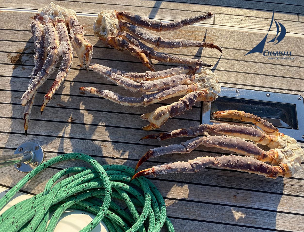 Krabbenbeine an Deck